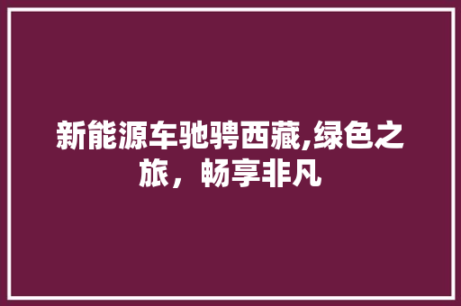 新能源车驰骋西藏,绿色之旅，畅享非凡