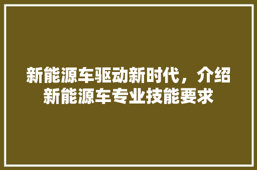 新能源车驱动新时代，介绍新能源车专业技能要求
