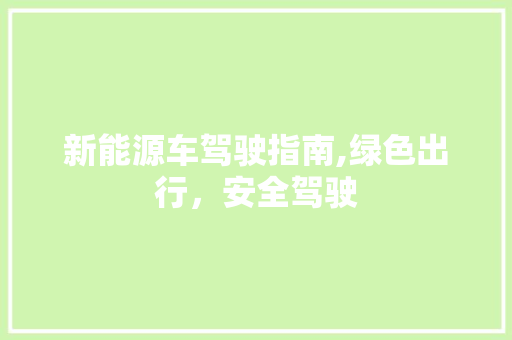新能源车驾驶指南,绿色出行，安全驾驶