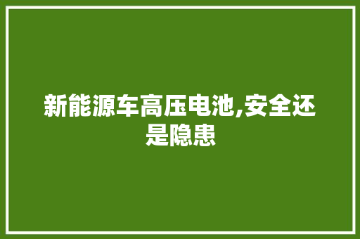 新能源车高压电池,安全还是隐患