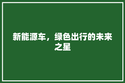 新能源车，绿色出行的未来之星