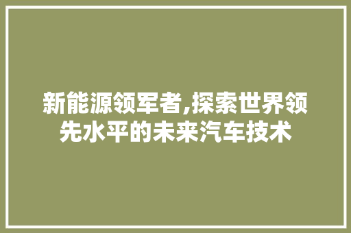新能源领军者,探索世界领先水平的未来汽车技术 车灯配件