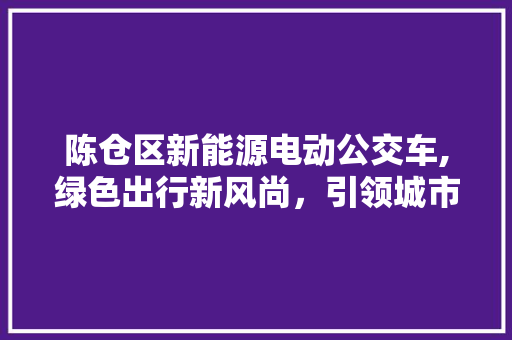 陈仓区新能源电动公交车,绿色出行新风尚，引领城市环保潮流