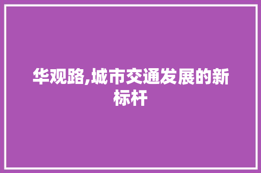 华观路,城市交通发展的新标杆