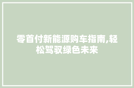 零首付新能源购车指南,轻松驾驭绿色未来