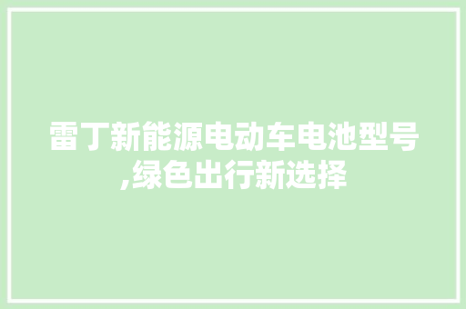 雷丁新能源电动车电池型号,绿色出行新选择