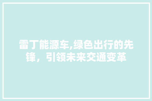 雷丁能源车,绿色出行的先锋，引领未来交通变革