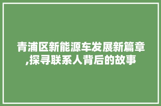 青浦区新能源车发展新篇章,探寻联系人背后的故事