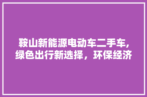 鞍山新能源电动车二手车,绿色出行新选择，环保经济两不误