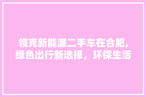 领克新能源二手车在合肥,绿色出行新选择，环保生活新潮流