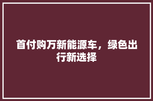 首付购万新能源车，绿色出行新选择