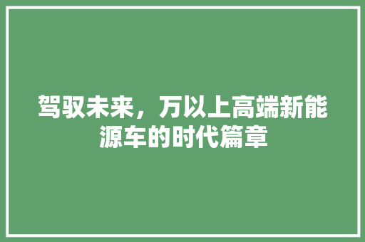 驾驭未来，万以上高端新能源车的时代篇章