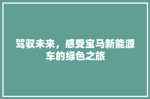 驾驭未来，感受宝马新能源车的绿色之旅