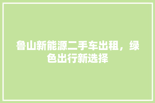 鲁山新能源二手车出租，绿色出行新选择