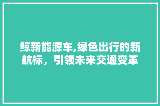 鲸新能源车,绿色出行的新航标，引领未来交通变革