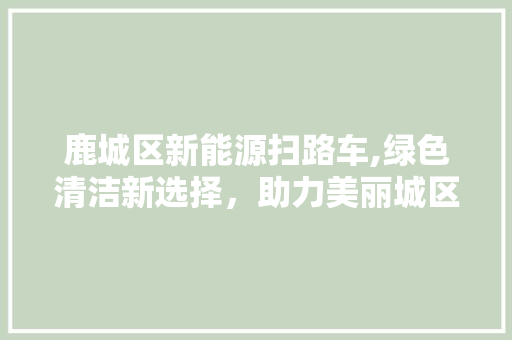 鹿城区新能源扫路车,绿色清洁新选择，助力美丽城区建设 新能源汽车