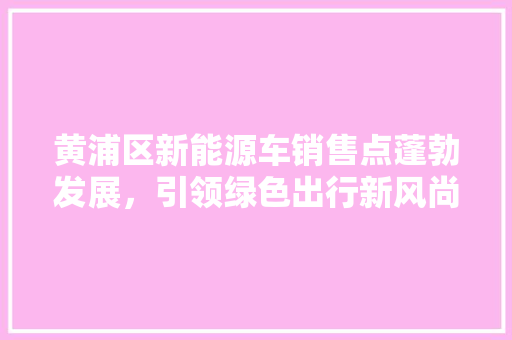 黄浦区新能源车销售点蓬勃发展，引领绿色出行新风尚