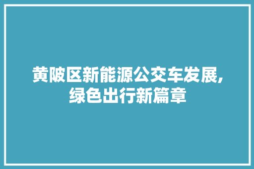 黄陂区新能源公交车发展,绿色出行新篇章