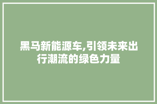 黑马新能源车,引领未来出行潮流的绿色力量