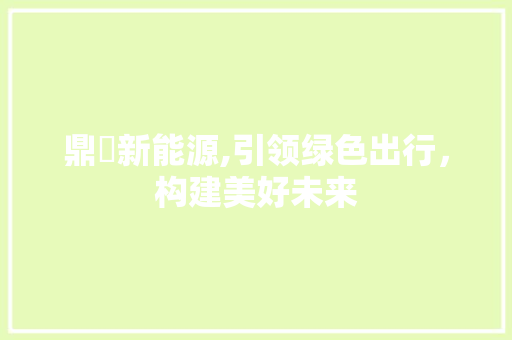 鼎竑新能源,引领绿色出行，构建美好未来