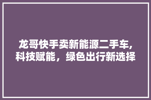 龙哥快手卖新能源二手车,科技赋能，绿色出行新选择