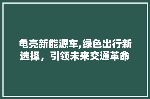 龟壳新能源车,绿色出行新选择，引领未来交通革命