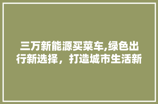 三万新能源买菜车,绿色出行新选择，打造城市生活新风尚