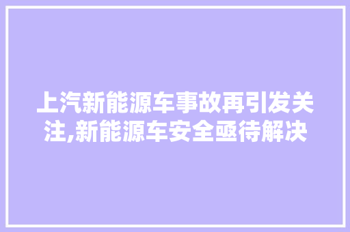 上汽新能源车事故再引发关注,新能源车安全亟待解决