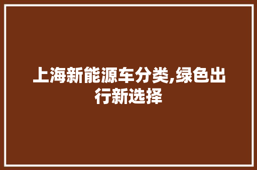 上海新能源车分类,绿色出行新选择
