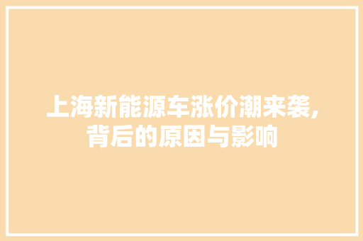 上海新能源车涨价潮来袭,背后的原因与影响