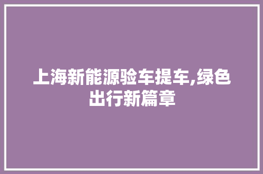 上海新能源验车提车,绿色出行新篇章