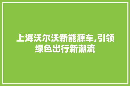 上海沃尔沃新能源车,引领绿色出行新潮流