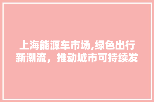 上海能源车市场,绿色出行新潮流，推动城市可持续发展