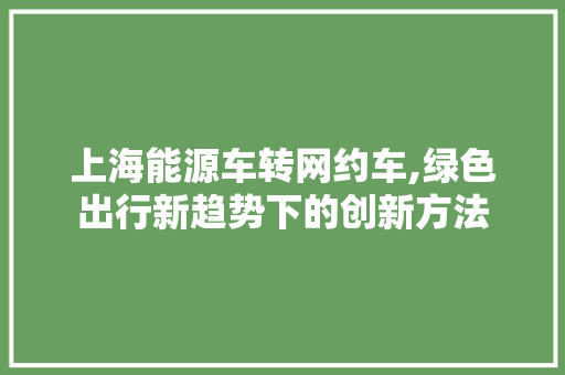 上海能源车转网约车,绿色出行新趋势下的创新方法