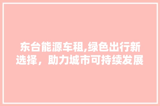 东台能源车租,绿色出行新选择，助力城市可持续发展