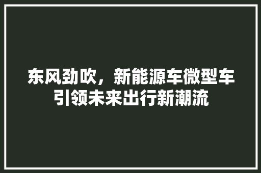 东风劲吹，新能源车微型车引领未来出行新潮流