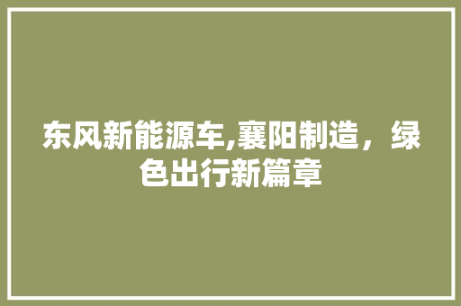 东风新能源车,襄阳制造，绿色出行新篇章