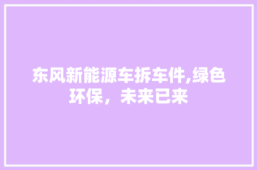 东风新能源车拆车件,绿色环保，未来已来