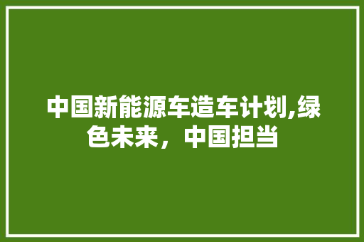 中国新能源车造车计划,绿色未来，中国担当