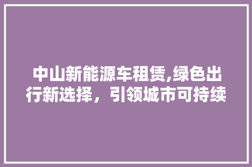 中山新能源车租赁,绿色出行新选择，引领城市可持续发展