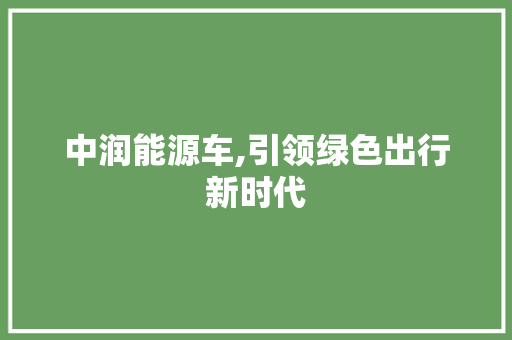 中润能源车,引领绿色出行新时代
