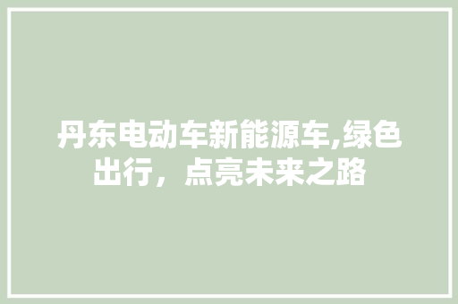 丹东电动车新能源车,绿色出行，点亮未来之路