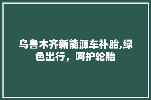 乌鲁木齐新能源车补胎,绿色出行，呵护轮胎