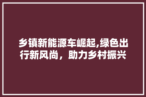 乡镇新能源车崛起,绿色出行新风尚，助力乡村振兴