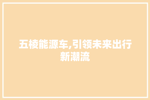 五棱能源车,引领未来出行新潮流