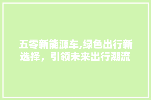 五零新能源车,绿色出行新选择，引领未来出行潮流