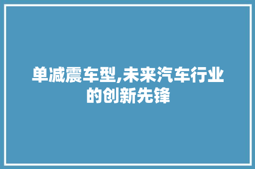 单减震车型,未来汽车行业的创新先锋