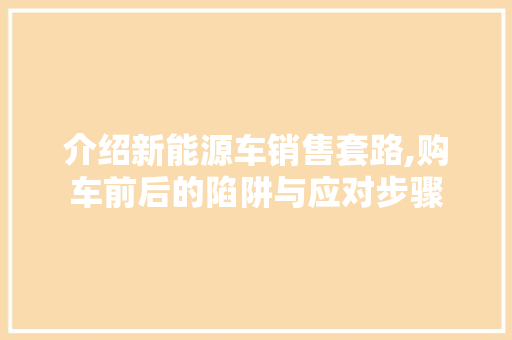 介绍新能源车销售套路,购车前后的陷阱与应对步骤