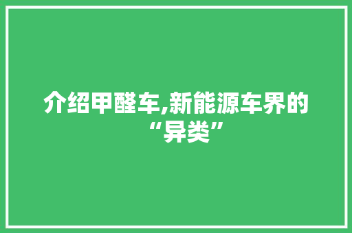 介绍甲醛车,新能源车界的“异类”