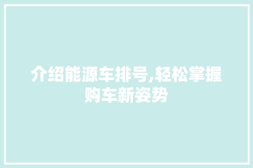 介绍能源车排号,轻松掌握购车新姿势